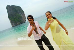 Nagarjuna, Trisha