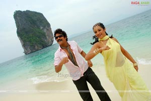 Nagarjuna, Trisha