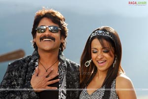 Nagarjuna, Trisha