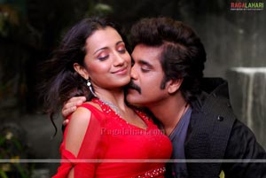 Nagarjuna, Trisha