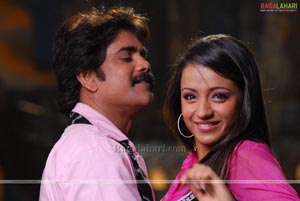 Nagarjuna, Trisha