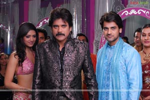 Nagarjuna, Trisha