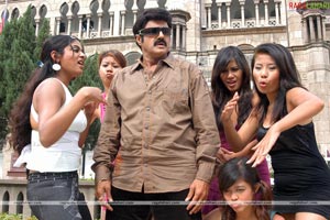 Balakrishna, Priyamani