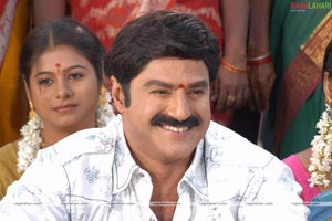 Balakrishna, Priyamani