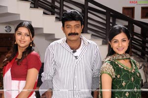 Rajasekhar, Bhumika