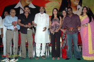 Aadavari Maatalaku Arthaale Verule Audio Release