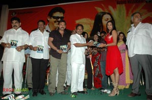 Aadavari Maatalaku Arthaale Verule Audio Release