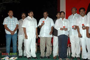 Aadavari Maatalaku Arthaale Verule Audio Release