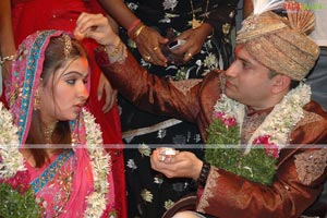 Aarti Agarwal weds Ujjwal Kumar 