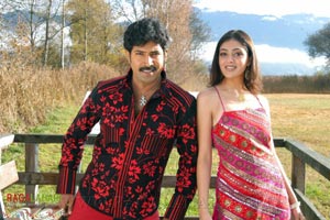 Venu, Allari Naresh, Parvathi Melton, Mallika Kapoor