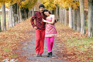 Venu, Allari Naresh, Parvathi Melton, Mallika Kapoor