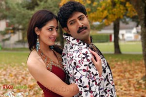 Venu, Allari Naresh, Parvathi Melton, Mallika Kapoor