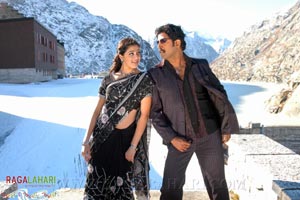 Venu, Allari Naresh, Parvathi Melton, Mallika Kapoor