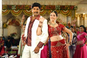 Venu, Allari Naresh, Parvathi Melton, Mallika Kapoor