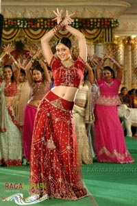 Venu, Allari Naresh, Parvathi Melton, Mallika Kapoor