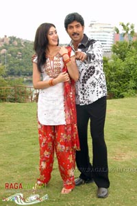 Venu, Allari Naresh, Parvathi Melton, Mallika Kapoor