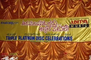 AMAV Triple Platinum Disc Function