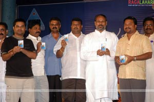 Andamaina Manasulo Audio Release