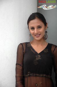 Astha Singhal @ Chandrahas Success Meet