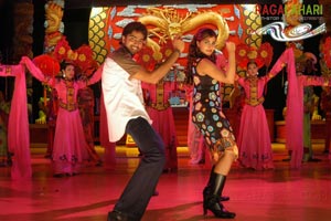 Allari Naresh, Kausha, Vidisha