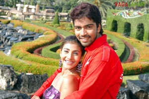 Allari Naresh, Kausha, Vidisha