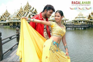 Allari Naresh, Kausha, Vidisha