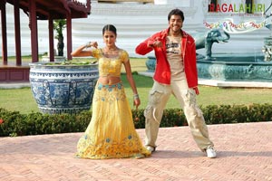 Allari Naresh, Kausha, Vidisha