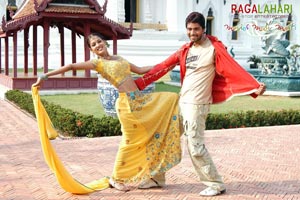 Allari Naresh, Kausha, Vidisha