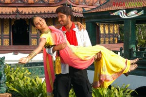 Allari Naresh, Kausha, Vidisha