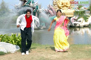 Allari Naresh, Kausha, Vidisha