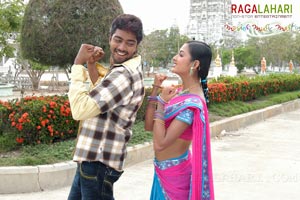 Allari Naresh, Kausha, Vidisha