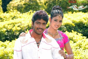 Allari Naresh, Kausha, Vidisha