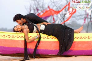 Allari Naresh, Kausha, Vidisha