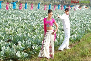 Allari Naresh, Kausha, Vidisha