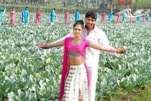 Allari Naresh, Kausha, Vidisha