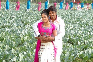 Allari Naresh, Kausha, Vidisha