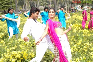 Allari Naresh, Kausha, Vidisha