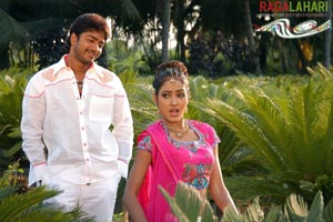 Allari Naresh, Kausha, Vidisha