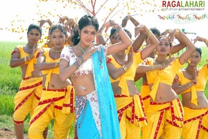 Allari Naresh, Kausha, Vidisha