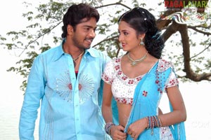 Allari Naresh, Kausha, Vidisha