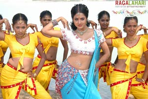 Allari Naresh, Kausha, Vidisha