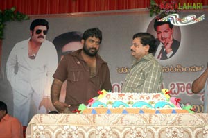 Balakrishna Birthday 2007 Celebrations @ Rajahmundry