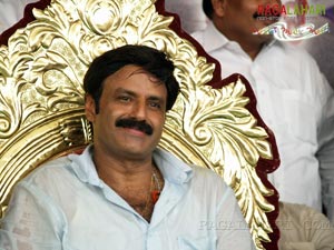 Balakrishna Birthday 2007 Celebrations @ Rajahmundry