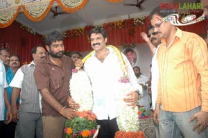 Balakrishna Birthday 2007 Celebrations @ Rajahmundry