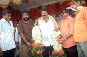 Balakrishna Birthday 2007 Celebrations @ Rajahmundry