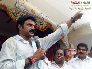 Balakrishna Birthday 2007 Celebrations @ Rajahmundry