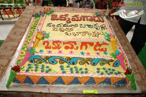 Balakrishna Birthday 2007 Celebrations @ Rajahmundry