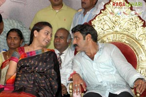 Balakrishna Birthday 2007 Celebrations @ Rajahmundry