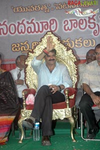 Balakrishna Birthday 2007 Celebrations @ Rajahmundry