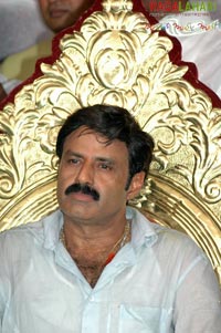 Balakrishna Birthday 2007 Celebrations @ Rajahmundry